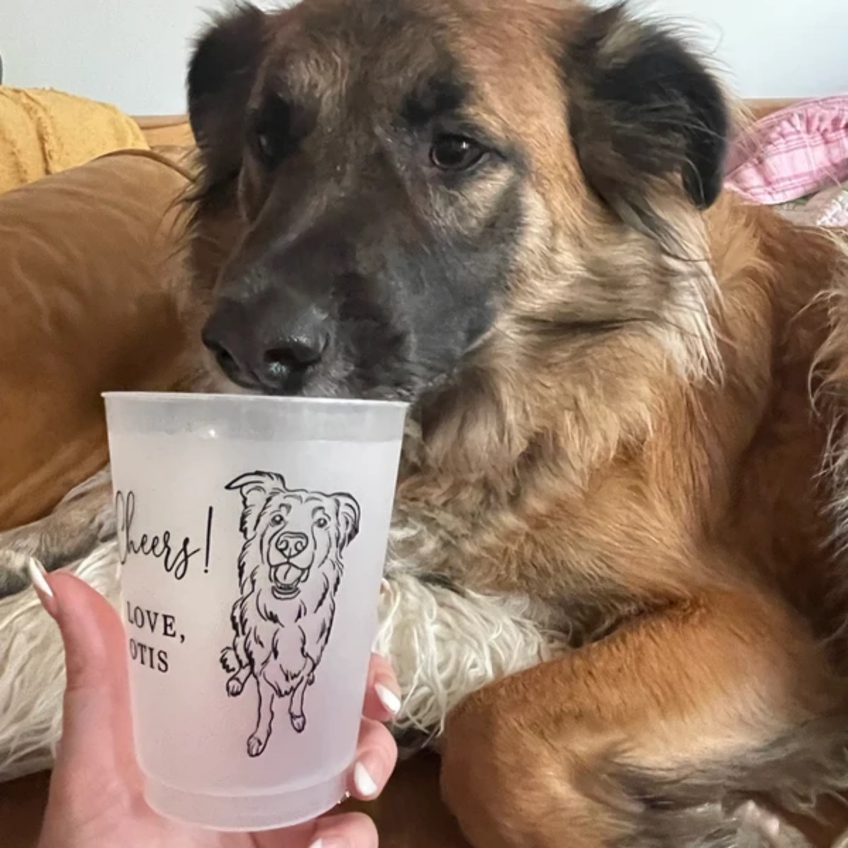 Персонализированные матовые ст – обзор и цена Plastic Cup 50Pcs